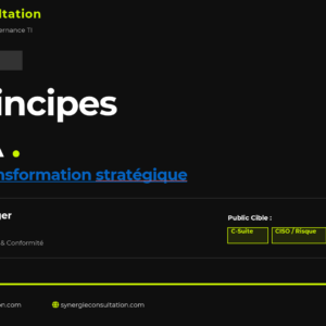 Six Principes de l'IA - Cadre de Transformation